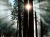 The Rays of Yosemite Valley, Yosemite National Park